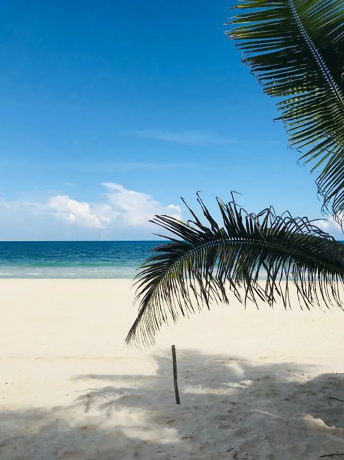 Appartement Luxury 5th Avenue Menesse 32 à Playa del Carmen Mexique