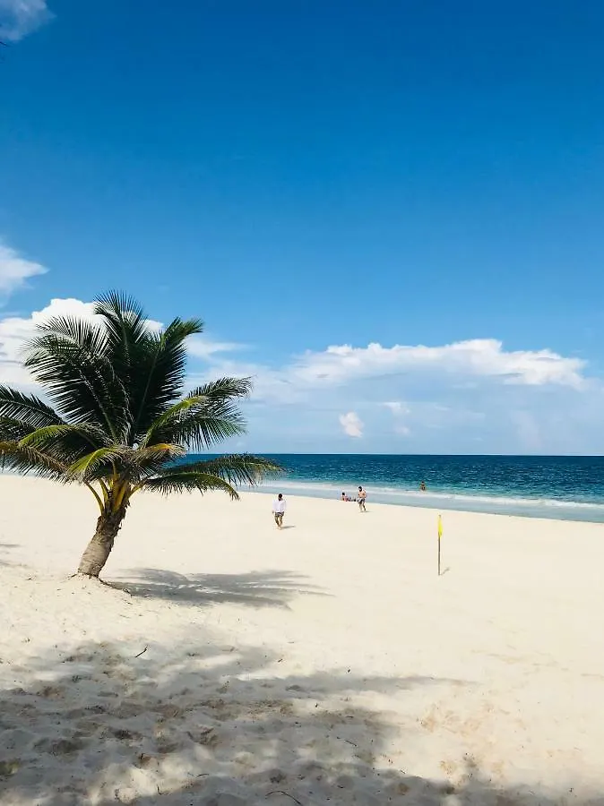 Luxury 5Th Avenue Menesse 32 Apartamento Playa del Carmen 0*,  México